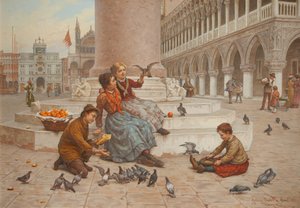 Pigeons de Venise